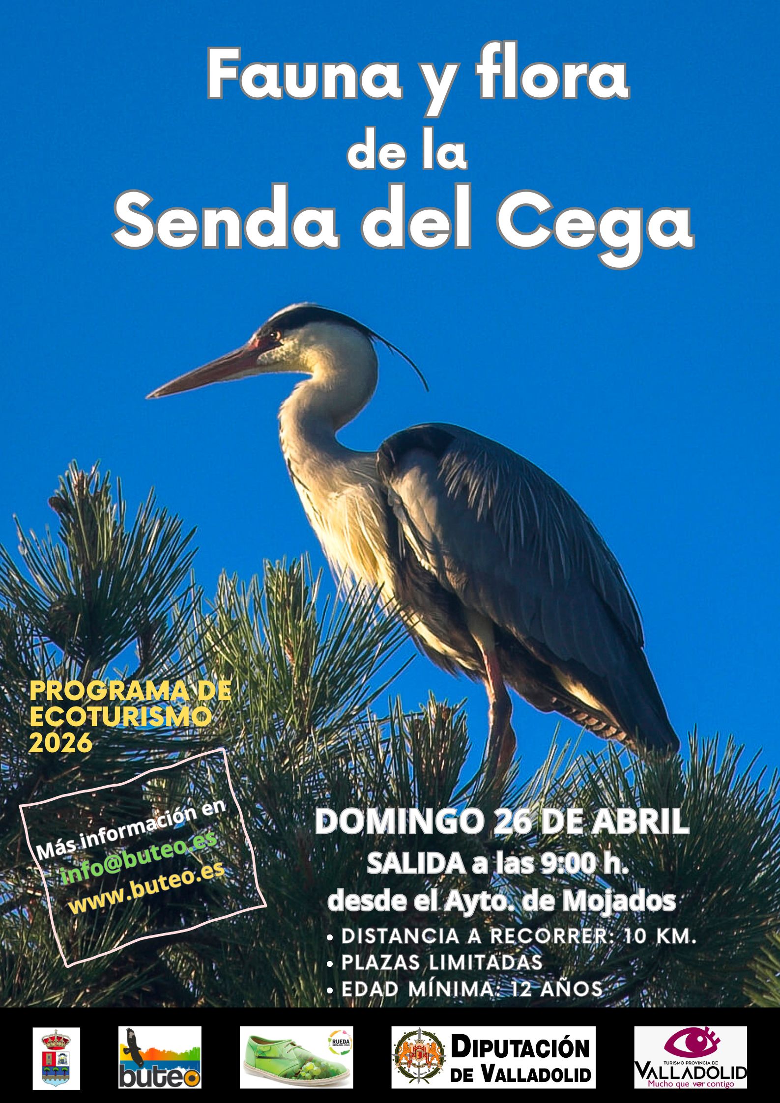 Flora y fauna de la Senda del Cega - Actividad de BUTEO